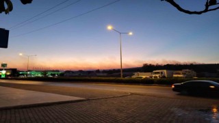 Didimde makilik yangını orman sıçradı