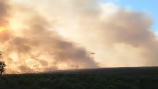 Didimdeki makilik yangınında çalışmalar devam ediyor