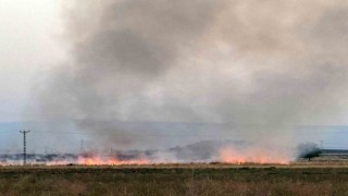 Diyarbakırda anız yangını