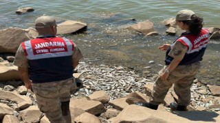 Diyarbakırda baraj kıyısında çok sayıda ölü ‘Asya Sazanı bulundu