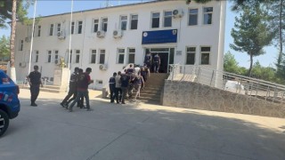 Diyarbakırda jandarma dedektifleri 8 inek çalan 4 şüpheliyi yakaladı