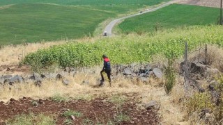 Diyarbakırda kayıp 8 yaşındaki kız, iz takip köpeği ve dron desteğiyle aranıyor