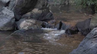 Doğa fotoğrafçısı Deliçayda çöp topladı