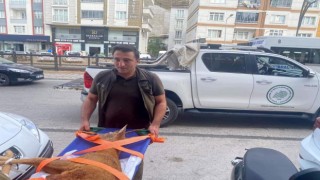 Doğa koruma ekiplerinden hayat kurtaran müdahale