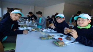 Doğanın kalbinde yaz kampı fırsatı
