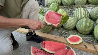 Düzcede yerli karpuz tezgaha indi