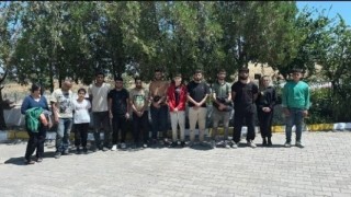 Edirnede 13 kaçak göçmen yakalandı