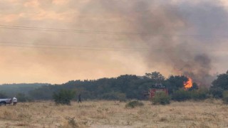 Edirnede orman yangını anızlık alana sıçradı: 2 baraka zarar gördü