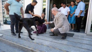 Edremit Belediye Başkanı Ertaş sahipsiz köpeği sahiplendi