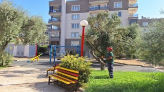 Efelerin parkları yenileniyor