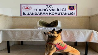 Elazığda 7 kilo esrar ele geçirildi: 1 gözaltı