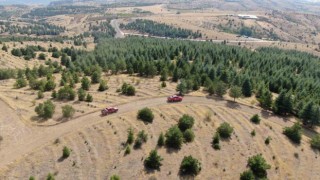 Elazığda orman ekipleri, havadan ve karadan denetimlerini sürdürüyor