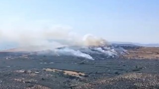 Erdekteki orman yangınına 4 helikopter ve 3 uçak müdahale ediyor