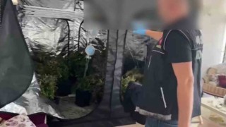 Evinde kilolarca uyuşturucuyla yakalandı, Pahalı olduğundan kendime yetiştiriyorum dedi