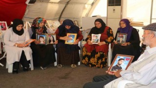 Evlat mücadelesindeki Fatma Bingöl: Evladım kendi iradesiyle gitmedi, kandırılarak dağa gitti