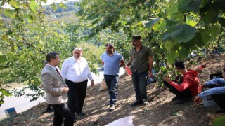 Fındık hasadı yapan işçilerle tarlada sohbet ettiler