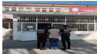 Fıstık hırsızlığına jandarmadan suçüstü: 3 tutuklama