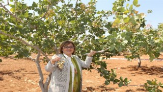 GastroAntep Kültür Yolu Festivali ile Gaziantepin mutfak ve kültür zenginliği yeniden dünya sahnesinde
