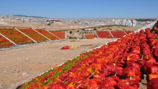 Gaziantep'in Vazgeçilmezi: Kurutmalıklar