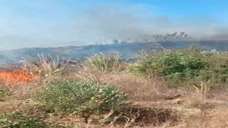 Gazipaşada bahçede çıkan yangın ekiplerinin müdahalesiyle söndürüldü