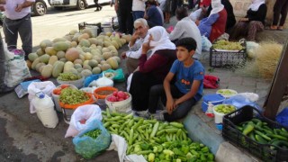 Gercüşte organik ürünlerdeki bereket fiyatları düşürdü