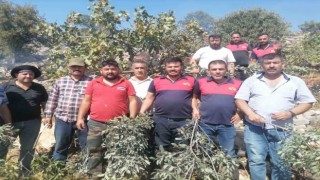 Gölbaşı İtfaiyesi orman yangınları ile mücadele ediyor