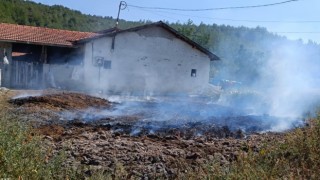 Gübre yangını ormana sıçramadan söndürüldü