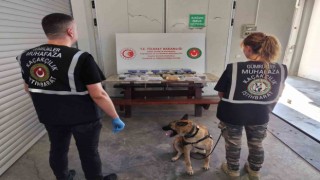 Gümrük muhafaza ekipleri uyuşturucuya geçit vermiyor