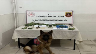 Gümüşhanede Jandarma ekipleri aranan şahsı çatıda yakaladı