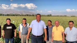 Gürer: “Domates Üreticileri Ekonomik Çöküş Yaşıyor”