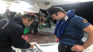 Hamsi avcılığına kota getirildi, gemi sahipleri için son başvuru tarihi 6 Eylül