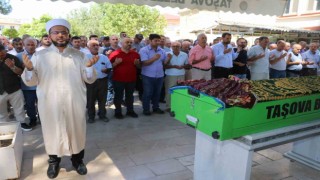 Haniye için Amasyada gıyabi cenaze namazı kılındı