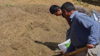 Hayvan yetiştiricilerinin yeni gelir kapısı gübre satışı