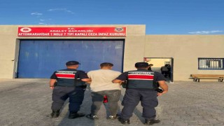 Hırsızlık suçundan aranan şahsı jandarma yakaladı