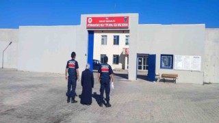 Hırsızlık suçundan aranan şahsı jandarma yakaladı