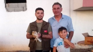 İdilde yaralı halde bulunan peçeli baykuş tedavi altına alındı