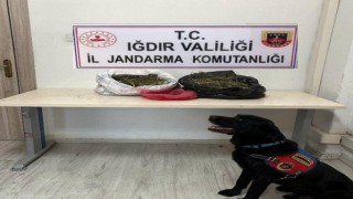 Iğdırda 22,5 kilogram kubar esrar ele geçirildi