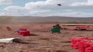 İki çocuk hortumun arasında kaldı