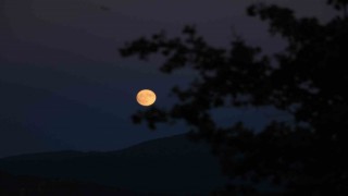 Ilgaz Dağında mest eden dolunay manzarası