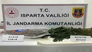 Ispartada uyuşturucu operasyonu: 1 tutuklama