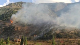 İspirde orman yangını