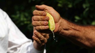 İstanbulda geçen ay en çok pahalanan ürün limon oldu