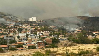 İzmirde dün gece Yamanlarda başlayan orman yangını evlere sıçradı. İtfaiye ekipleri olağanüstü bir çabayla yangını söndürmeye çalışıyor.