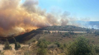 İzmirde ormana sirayet eden yangına havadan ve karadan müdahale