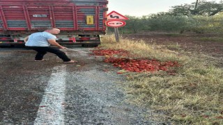 İzmirdeki yangını söndüren itfaiye erleri, Manisada yola saçılan domatesleri temizledi
