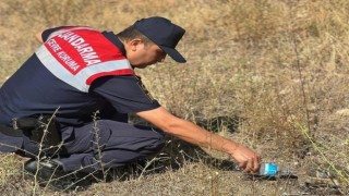Jandarma ekipleri minik kaplumbağaya yardım etti