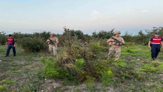 Jandarma fındık hırsızlarına karşı nöbette