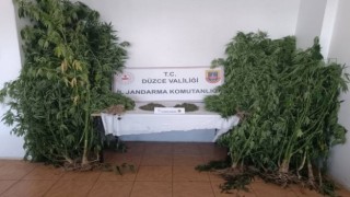 Jandarmadan uyuşturucuya geçit yok