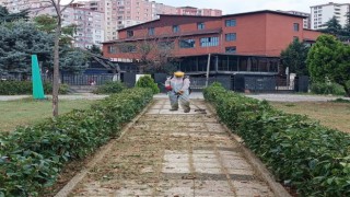 Kağıthane Belediyesi peyzaj çalışmaları hızla devam ediyor