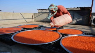 Kahramanmaraşta biber salçası telaşı